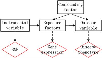Identification of Alzheimer's Disease-Related Genes Based on Data Integration Method